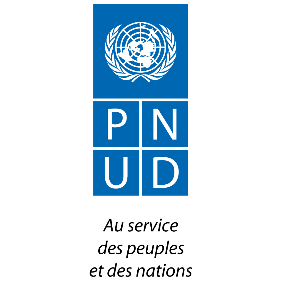 pnud Logo